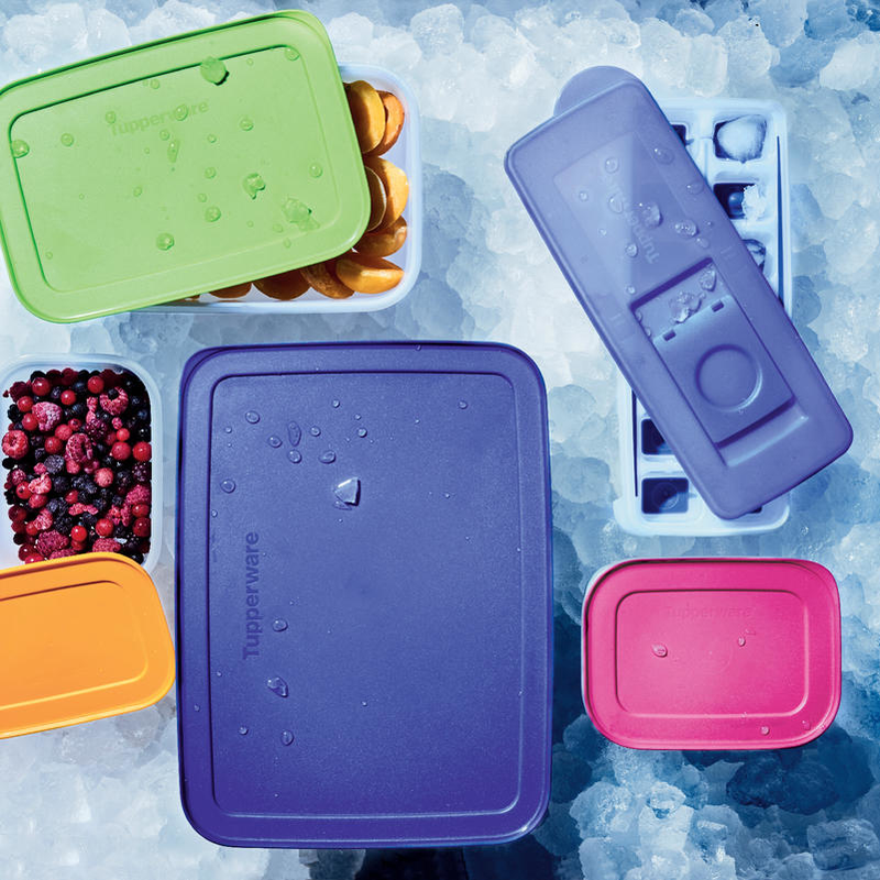 Tupperware Alaska Series Freezer Storage Container Square Set of 2 - ezmarketim